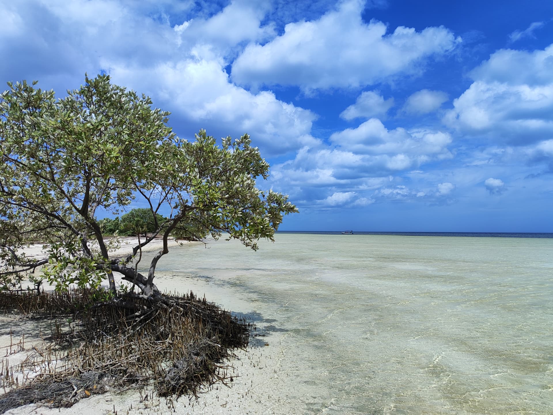Isla Nichilí